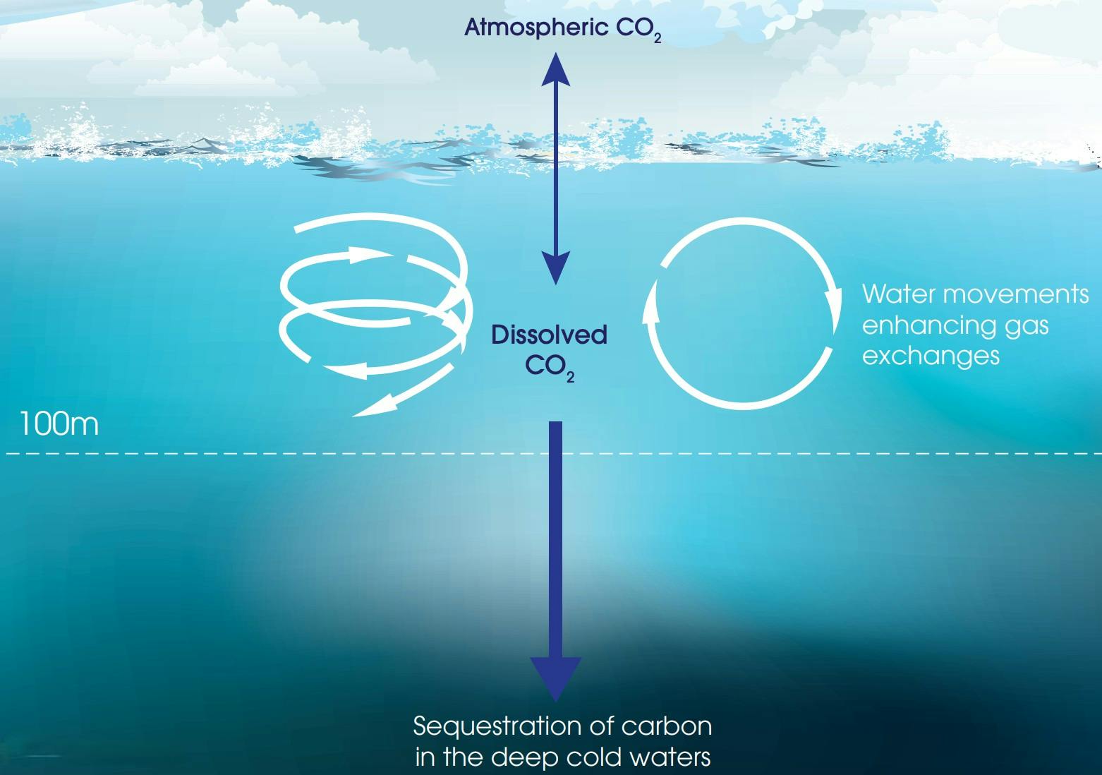 Oceans as Carbon Sinks