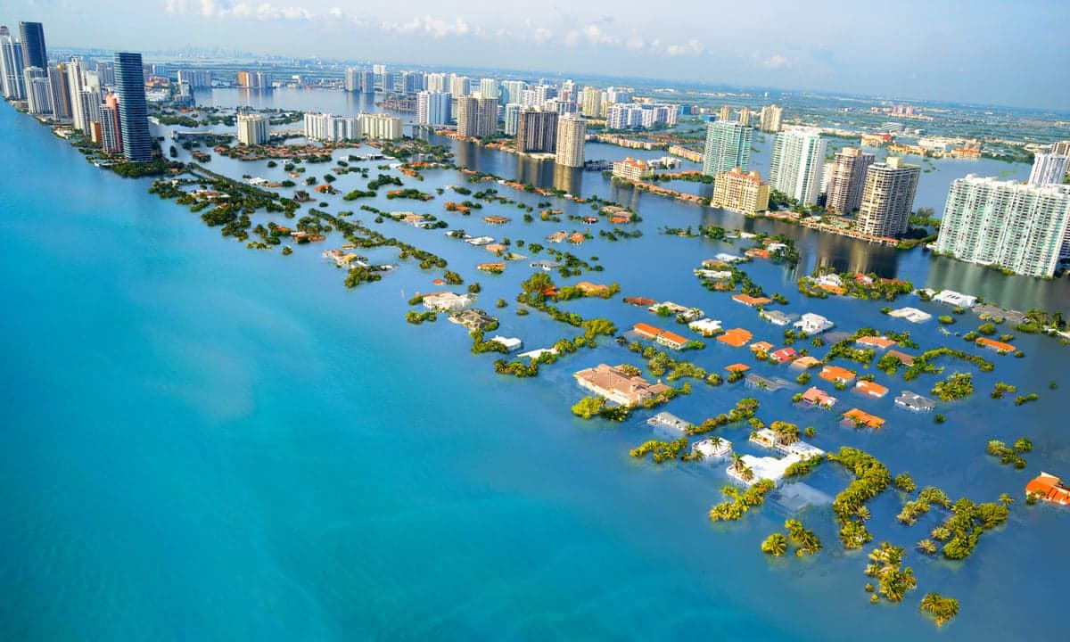 Rising Sea Levels and Coastal Vulnerability