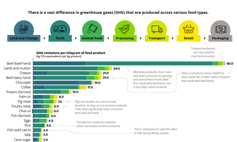 The Carbon Footprint of Food